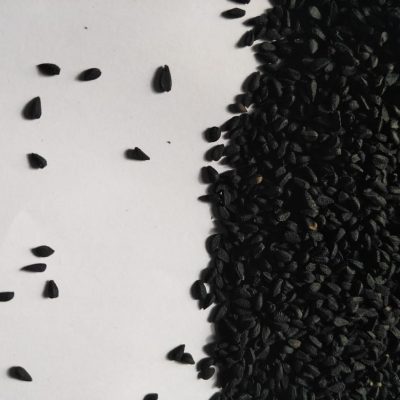 Sativa in malay nigella Black Seed