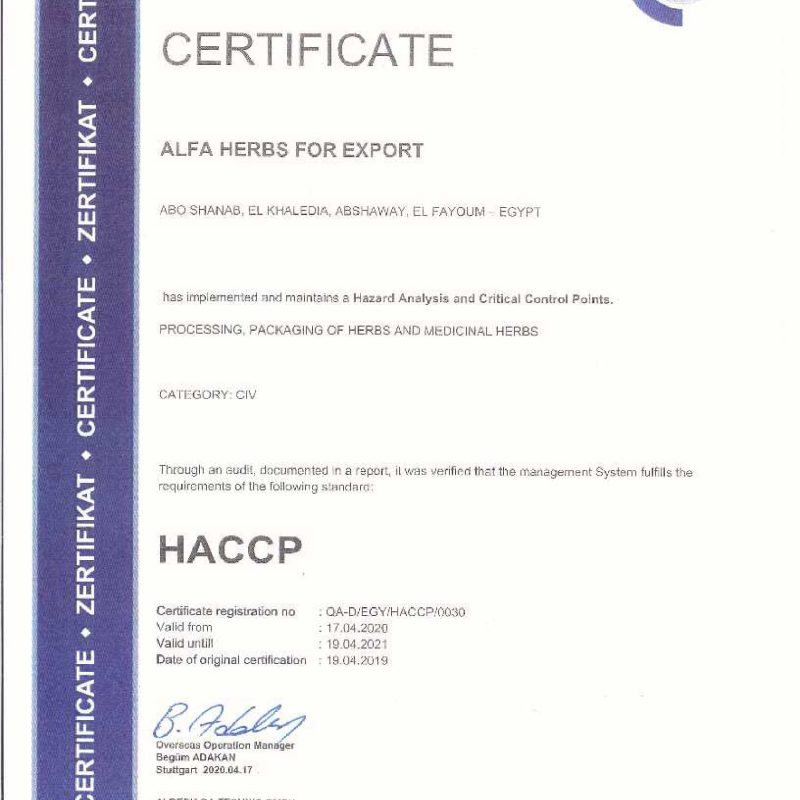 alfa haccp-1