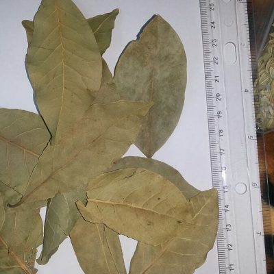 bay leaves, laurel leaves