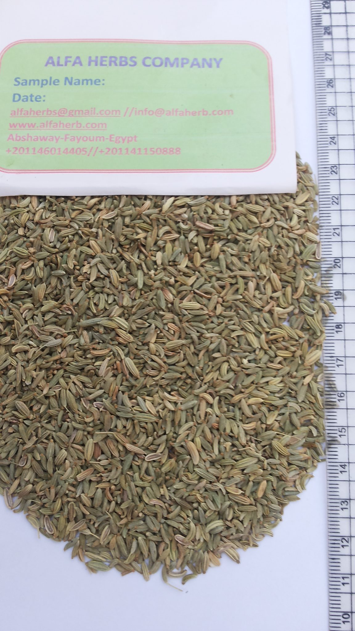 fennel seeds alfa herbs