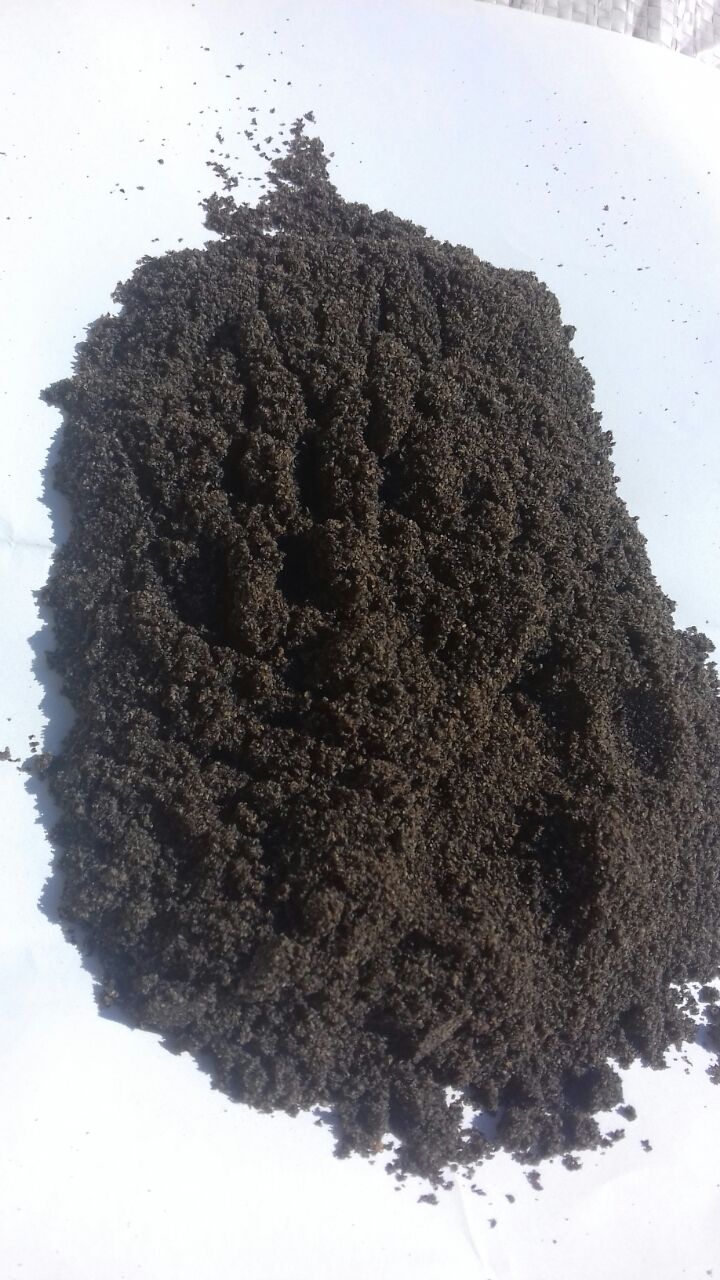 basil seeds powder