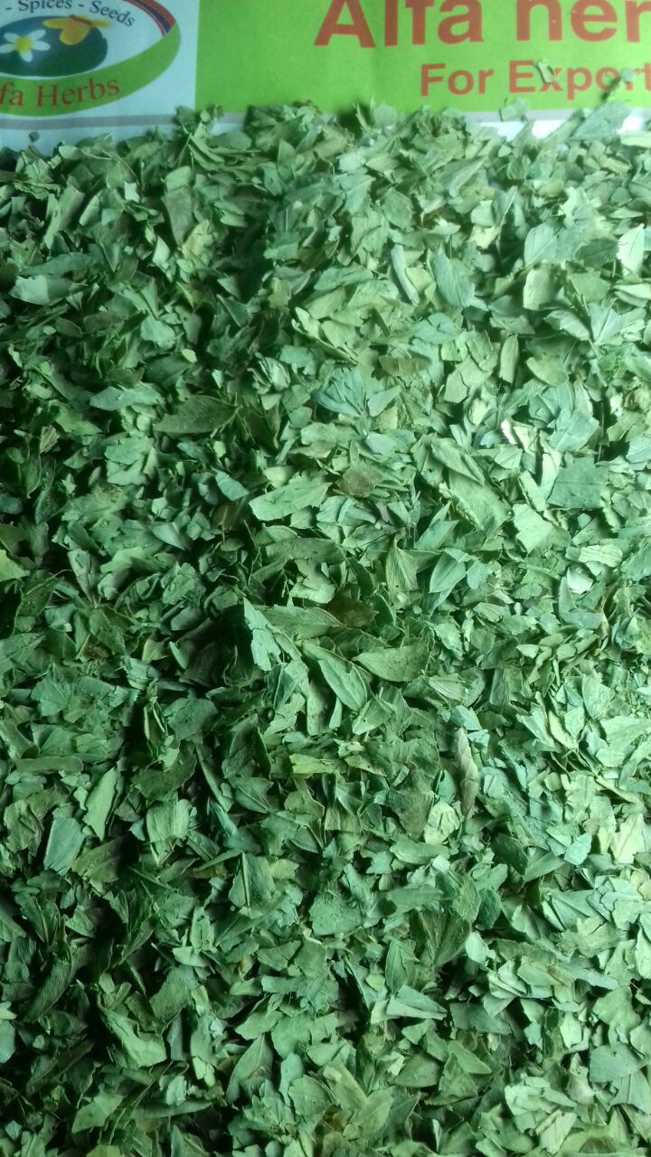 senna leaves